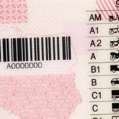 Numer druku prawa jazdy A0000000. Widoczne kategorie pojazdów: AM, A1, A2, A, B1, B, C1, C.