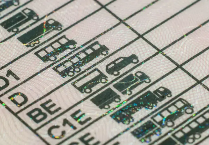 Fragment prawa jazdy z kategoriami pojazdów, symbolizujący możliwość uzyskania prawo jazdy bezterminowe. Widoczne ikony samochodów, autobusów i ciężarówek.