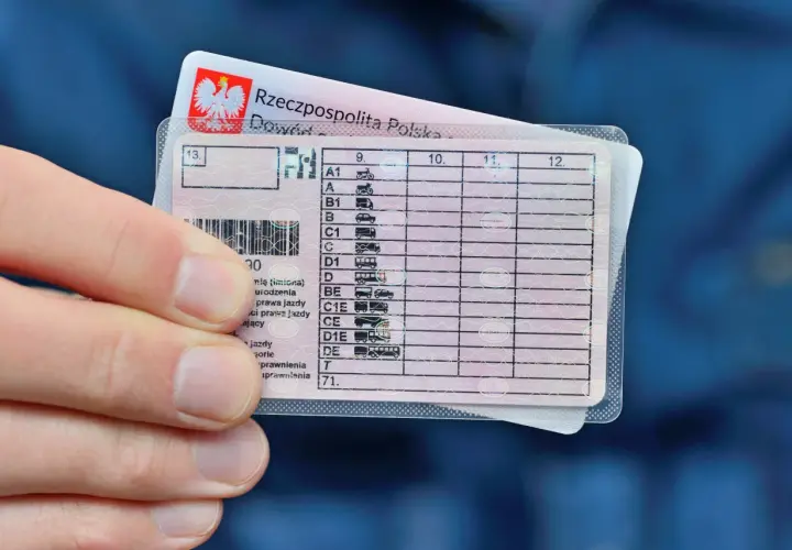 Dłoń trzyma polskie prawo jazdy. Sprawdź, jak sprawdzić czy prawo jazdy jest w bazie danych, analizując dane na dokumencie.