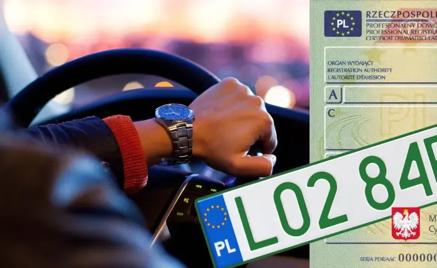Zielone tablice rejestracyjne - kto je dostaje i co dają?