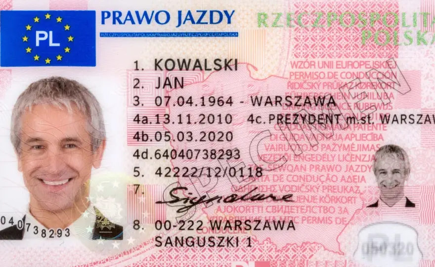 Zdjęcie do karty kierowcy: wymogi, błędy i jak uniknąć odrzucenia