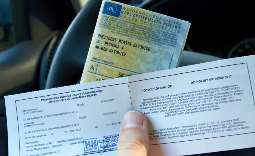 Świadectwo Kierowcy: Kara 5000 zł? Kto Płaci i Jak Uniknąć