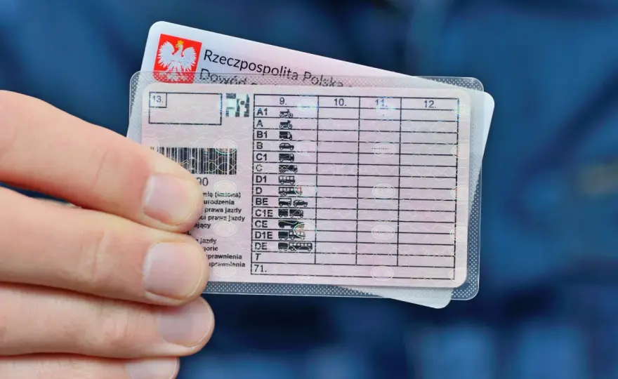Jak sprawdzić prawo jazdy online? Szybki przewodnik krok po kroku