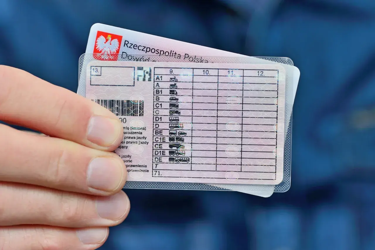 Dłoń trzyma polskie prawo jazdy. Sprawdź, jak sprawdzić czy prawo jazdy jest w bazie danych, analizując dane na dokumencie.