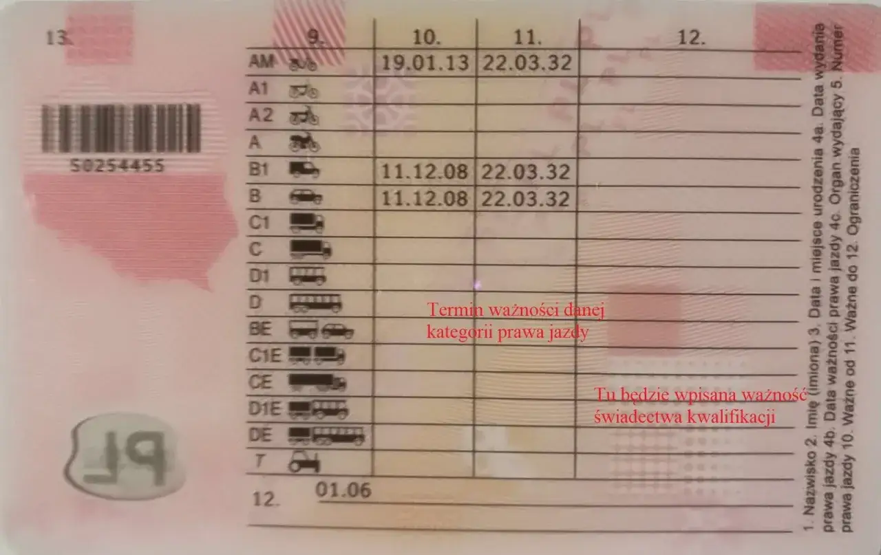 Prawo jazdy z kategorią D uprawnia do kierowania autobusem na 12 osób. Sprawdź ważność swoich uprawnień.